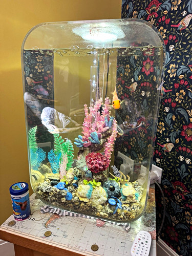 Oase biorb life 60l - oase,