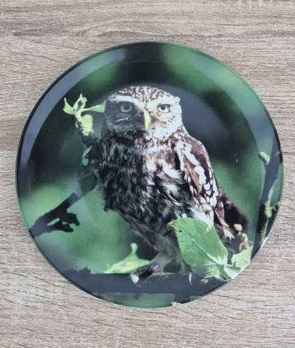 Wedgwood plate the night - wedgwood,