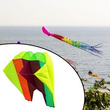 3D Kite Soft Pilot Kite