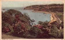 GENEALOGY - POSTCARD - JENKINS