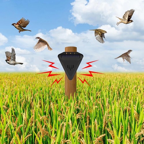 Bird scarer sounds - bird,