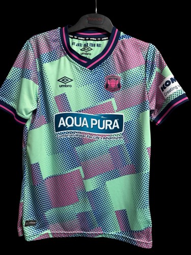 Carlisle united football away - carlisle,