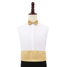 Gold Mens Cummerbund Plain