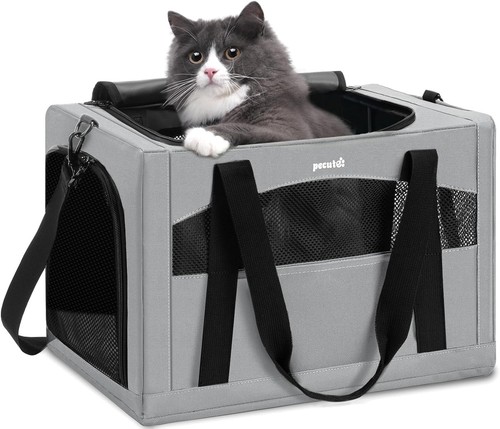 Pecute cat travel - pecute,