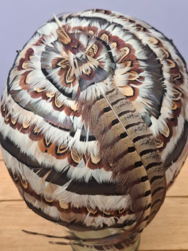 Vintage 1960s feather hat with - feather,