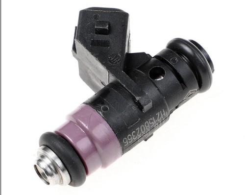 Fuel injector for renault clio - for,