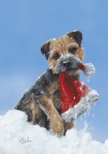 Border Terrier Christmas cards 10 pack 'Santa's Assistant' by Paul Doyle C585x