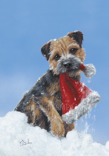Border terrier christmas cards - border,