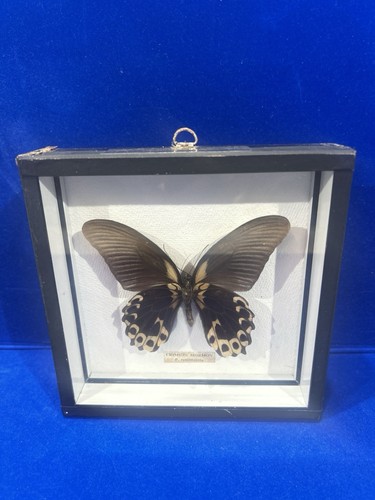 Vintage mounted framed - vintage, crimson