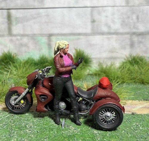 Scale 76 custom - ,