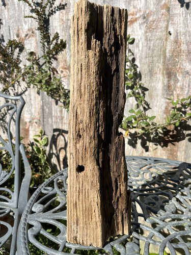 38cm weathered character - weathered,