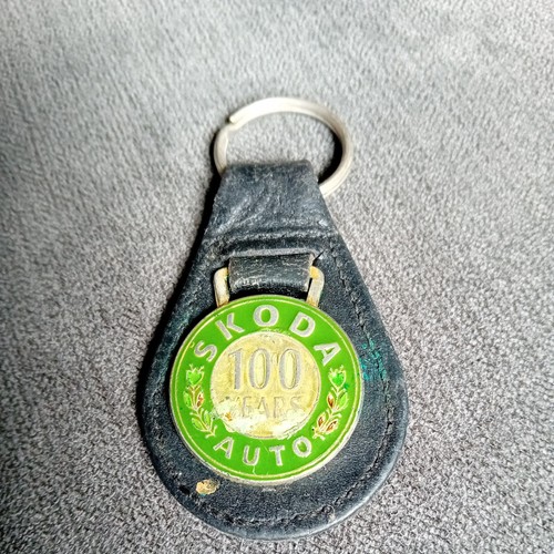 Skoda auto 100 - auto,