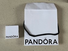 Pandora Charm Box and Gift Bag