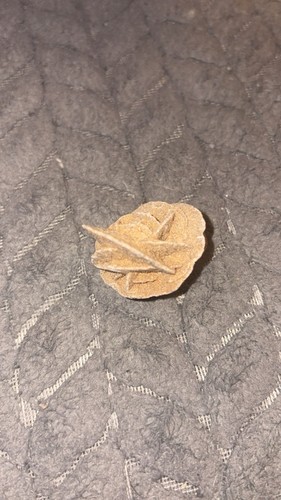 Desert rose crystal - desert,