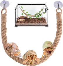 Reptile Vines Climbing,Reptile