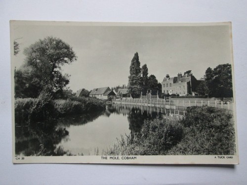 The mole cobham - mole, real