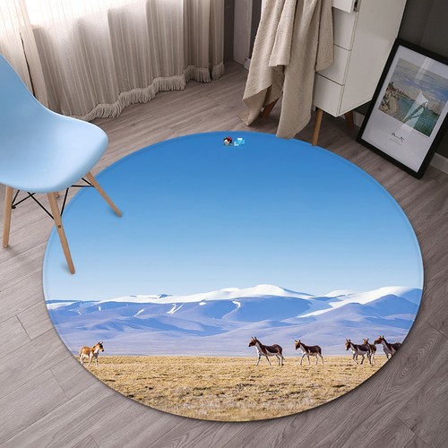 Prairie mountain donkey - prairie,