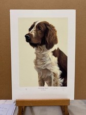 Nigel Hemming - Welsh Springer