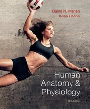 Human Anatomy & Physiology -