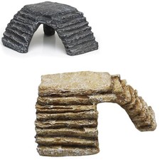 Komodo Reptile Turtle Tortoise