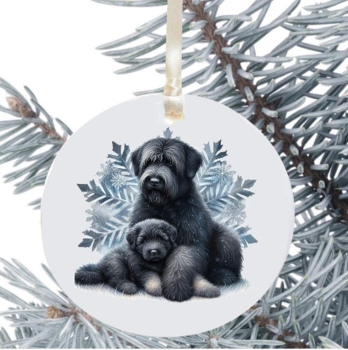 Briard dog hanging - briard,