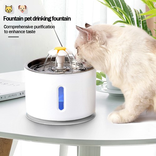Cat water fountain for - cat,