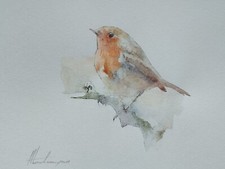 Robin,  Birds, Watercolor