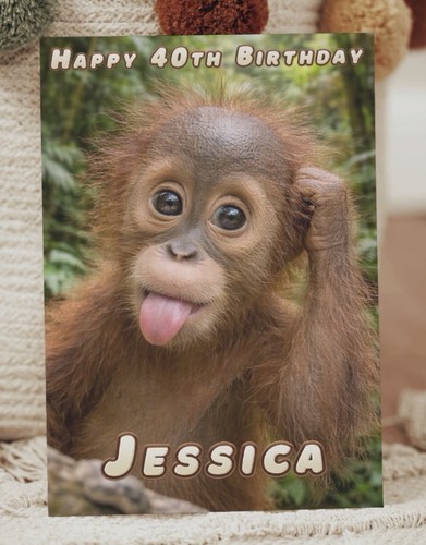 Monkey funny cheeky - monkey,