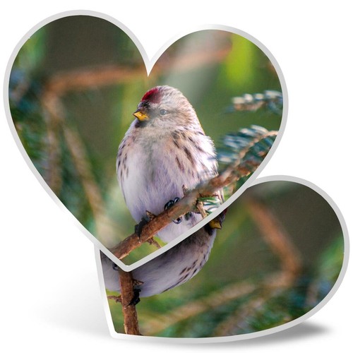 Heart stickers cm - cm,