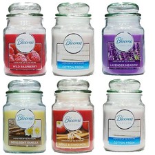 18oz Large Scented Candles In Glass Jar Assorted Fragrance Home Xmas Gift Pack