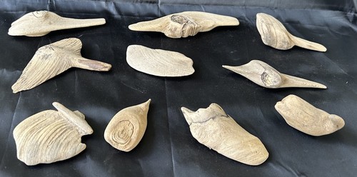 Lot driftwood pieces - lot,