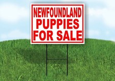 Newfoundland PUPPIES FOR SALE