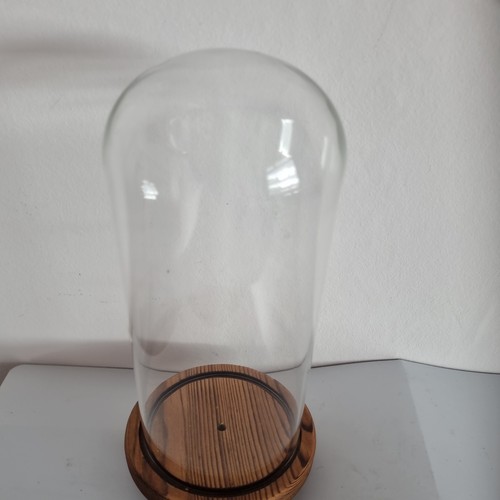 Glass dome display with wooden - glass,