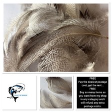 Mallard Flank Feathers 40pc