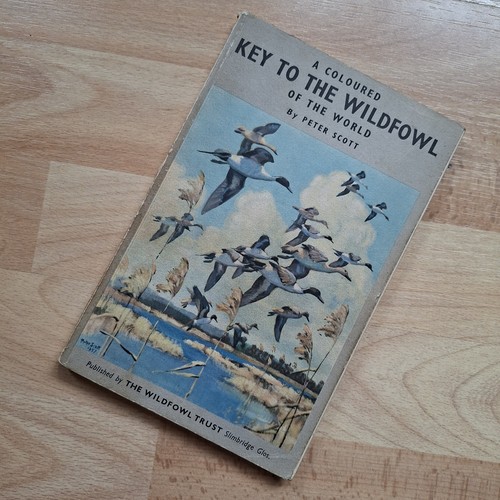 Coloured key the wildfowl - coloured,