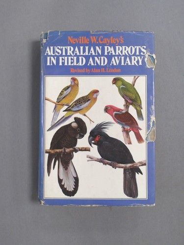 Australian parrots field - australian,
