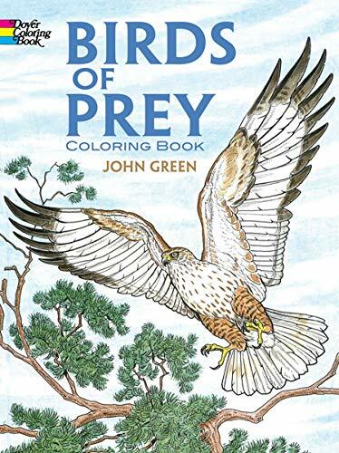 Birds prey coloring - birds,