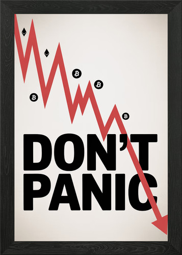 Don panic bitcoin - bitcoin, crash