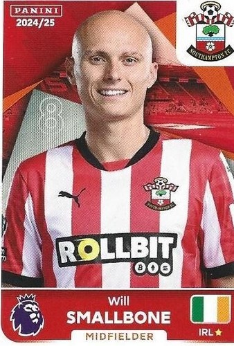 Panini premier league 2025 - panini,