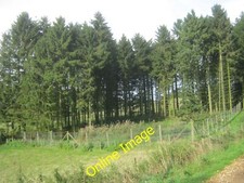 Photo 6x4 Pheasant rearing pen