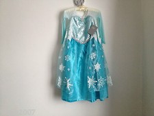 Disney Store Frozen Princess