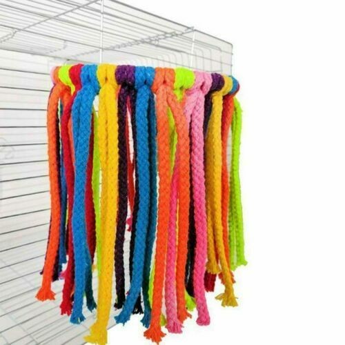 Parrot chew coil - parrot, budgie