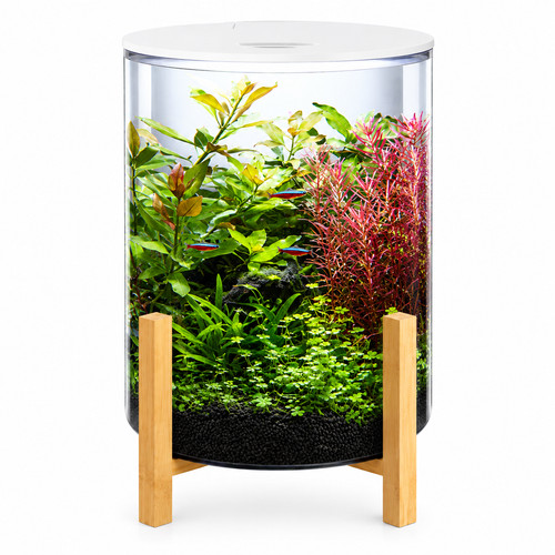 Superfish orbiq aquarium - superfish, 11