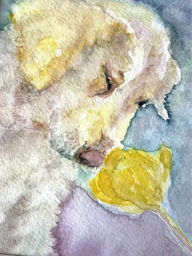 Original watercolour painting - original,
