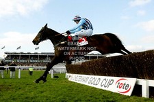 BEST MATE JIM CULLOTY GOLD CUP 2003 CHELTENHAM FESTIVAL PHOTO PRINT HORSE RACING