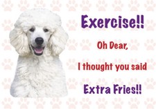 Funny WHITE POODLE Dog Vinyl
