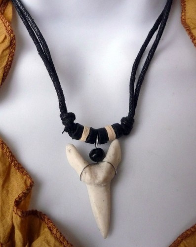 Tiger shark tooth wood - , beaded