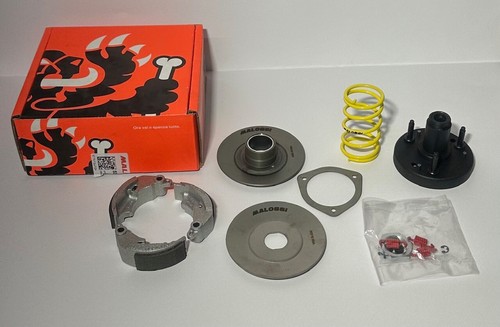 Malossi complete clutch kit - malossi,