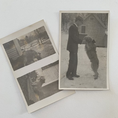Antique rppc real - antique,