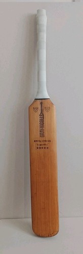 Gray nicolls steel spring - nicolls,